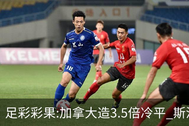 足彩彩果:加拿大造3.5倍冷平 斯洛伐克2-2黑山